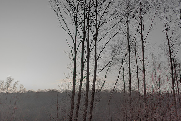 291114 #365
