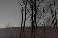 291114 #302