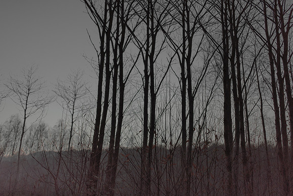 291114 #295