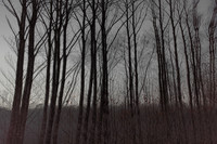 291114 #313