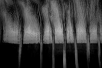 IMG_0010-3