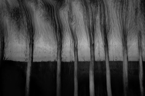 IMG_0010-3
