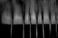 IMG_0010-4