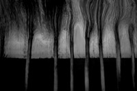 IMG_0010-7