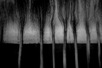 IMG_0010-2