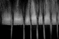 IMG_0010-5