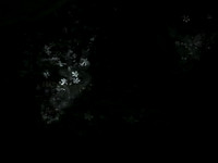 190616-10-7