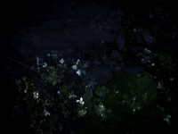 190616-10-3