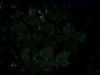 190616-10-18