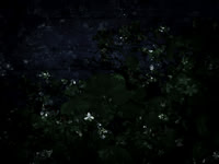 190616-10-8