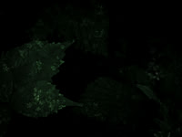 190616-10-19