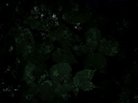 190616-10-14