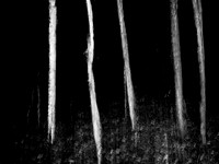 v3-250515-78