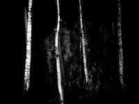 v3-v2-250515-95