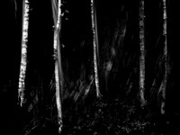 v2-250515-87
