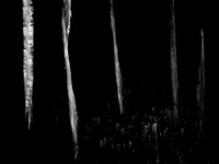 v3-v2-250515-65