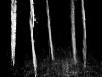 v3-v2-250515-74