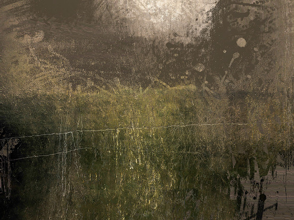 IMG_6081