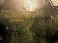IMG_6066