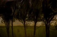 2011-11-15-211-5