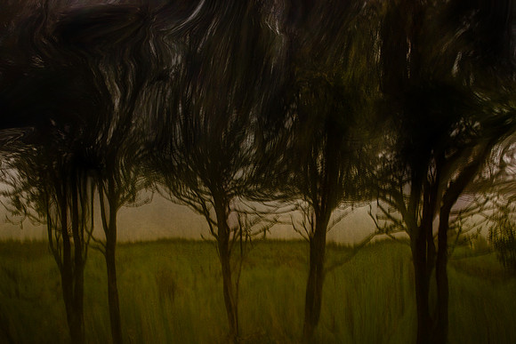 2011-11-15-211-5