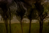 2011-11-15-211-6