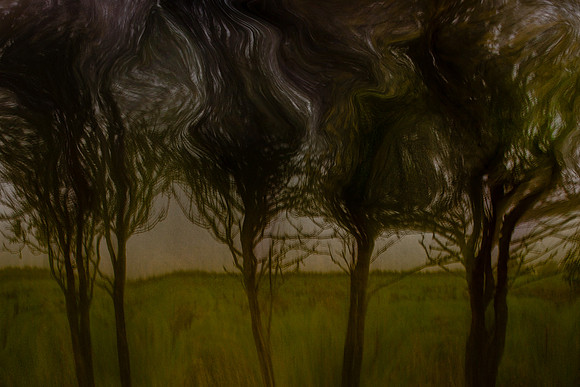 2011-11-15-211-6