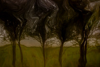 2011-11-15-211-2