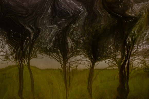 2011-11-15-211-2