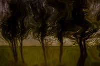 2011-11-15-211