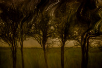 2011-11-15-211-4