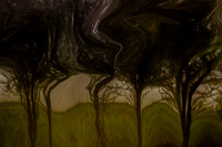 2011-11-15-211-3