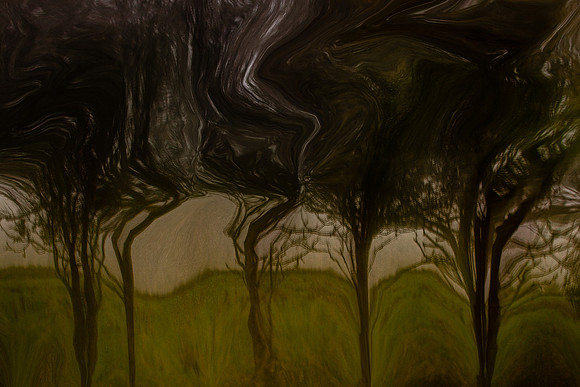 2011-11-15-211-3