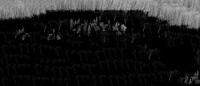 011016-3-3