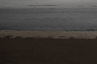 190514 #586