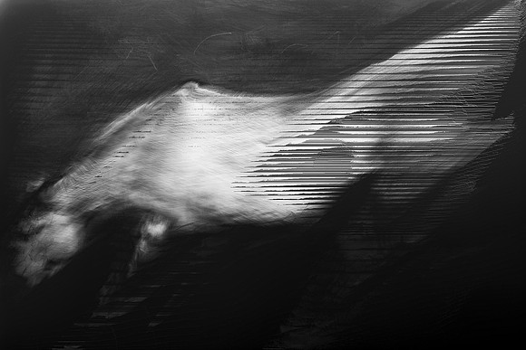 horse 31-13