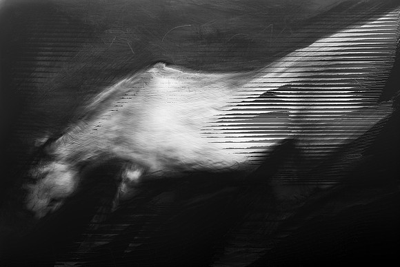 horse 31-10