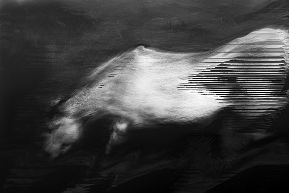 horse 31-5