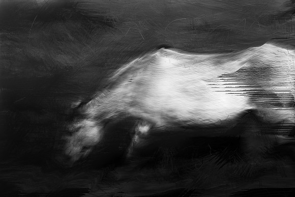 horse 31-2