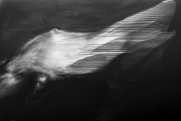 horse 31-18