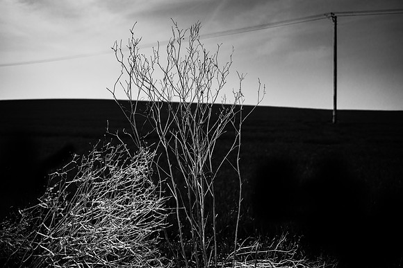 240515#16