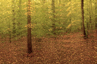 2013-09-12-89