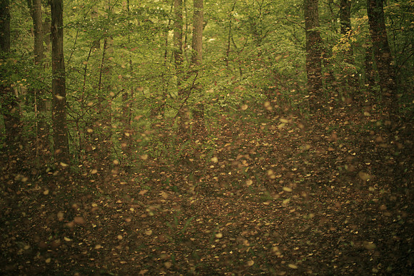 2013-09-12-108