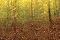 2013-09-12-5