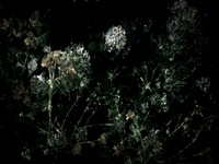 160616-6-7