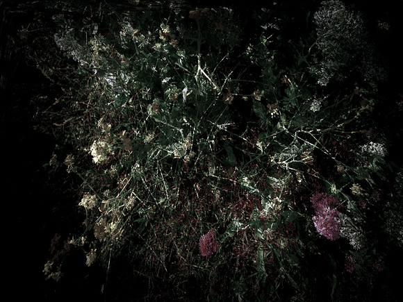 160616-6-19