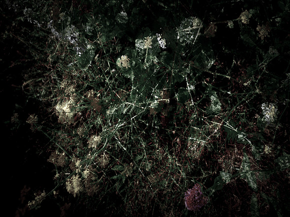 160616-6-21