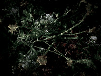160616-6-6