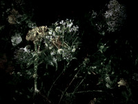 160616-6-5