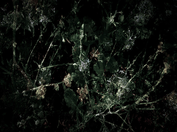 160616-6-17